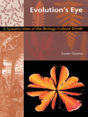 cover image of Evolution's Eye